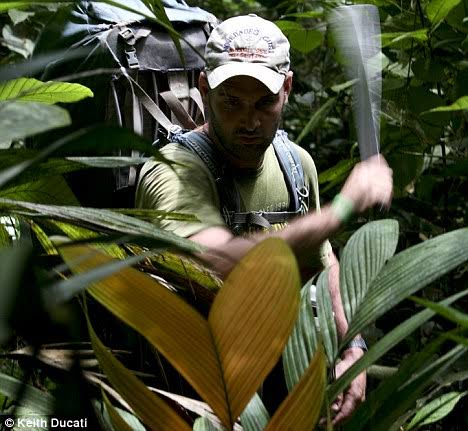 Man cutting through jungle with machete
